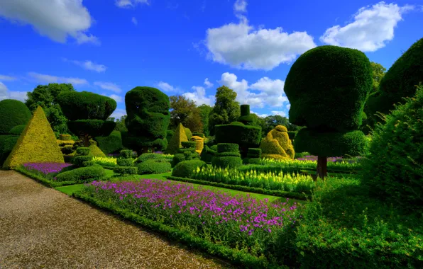Picture greens, the sky, the sun, clouds, trees, flowers, design, lawn