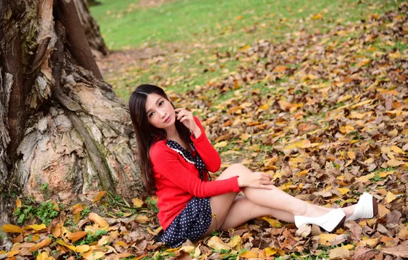 Picture hair, girl, sitting, face, legs, autumn, leaves