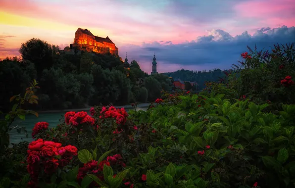 Picture greens, the sky, leaves, clouds, trees, flowers, red, lights