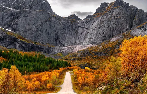Road, autumn, forest, the sky, trees, mountains, rocks, the slopes