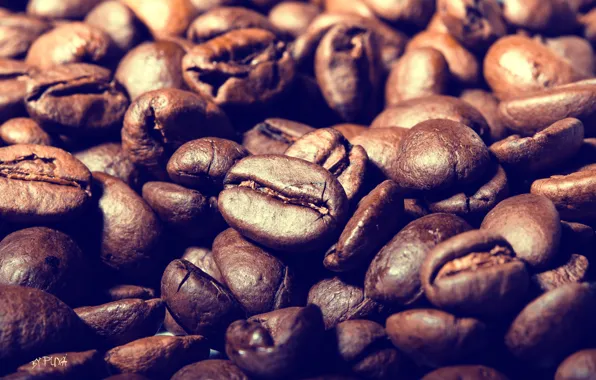 Macro, coffee, coffee beans