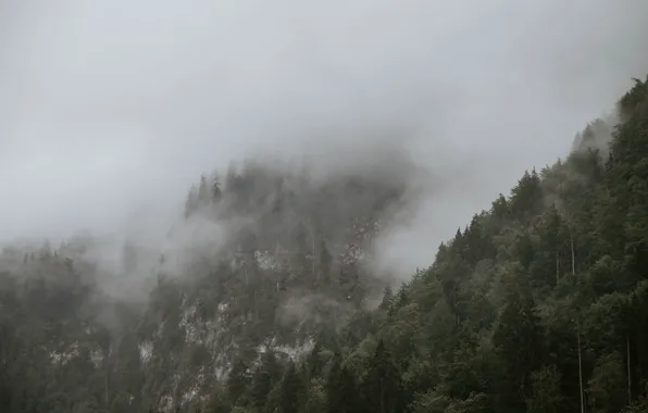 Picture trees, mountains, nature, fog, rocks, Germany, slope, Bayern