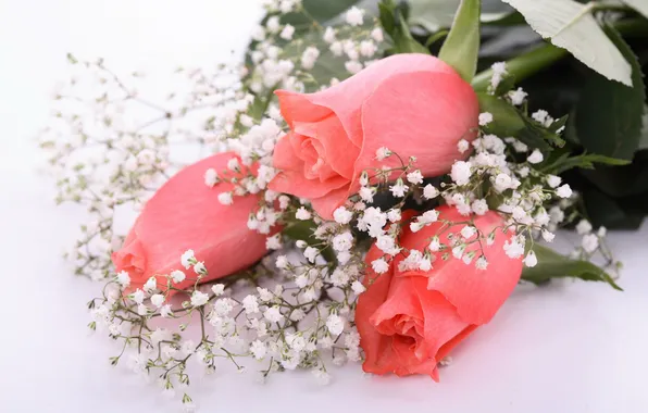 Roses, bouquet, pink, gypsophila