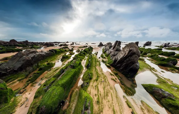 Sea, landscape, stones