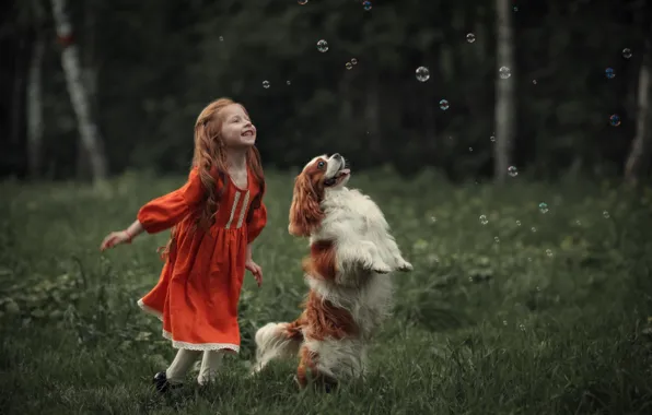 Picture bubbles, dog, girl, red, Spaniel