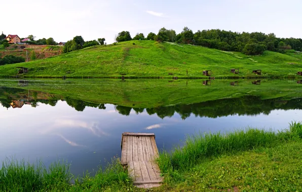 Picture summer, nature, river, Moscow, summer, Russia, river, Moscow