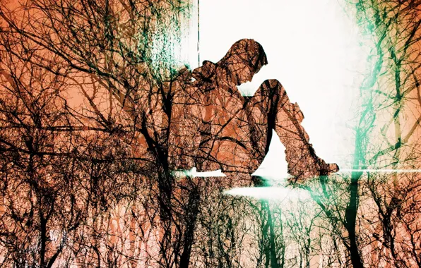 Picture background, color, silhouette