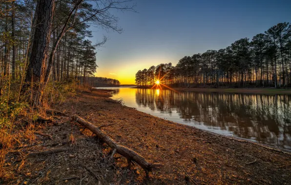 The sun, sunset, lake, dawn