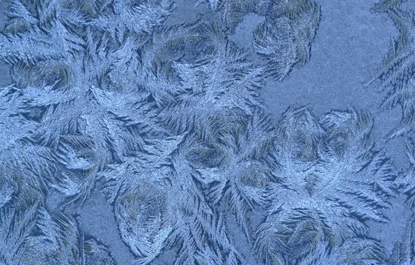 Winter, snowflakes, pattern