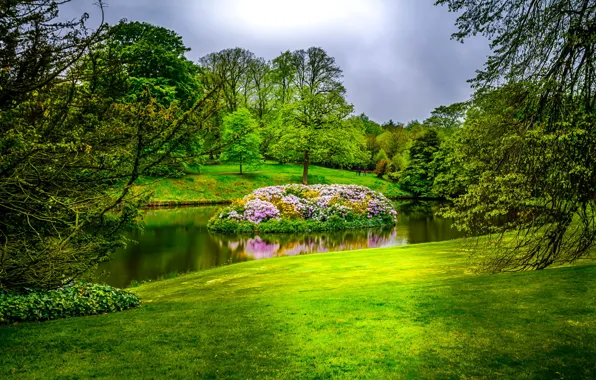Picture greens, grass, trees, flowers, pond, Park, England, island