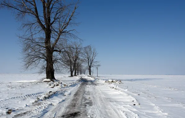 Winter, snow, country