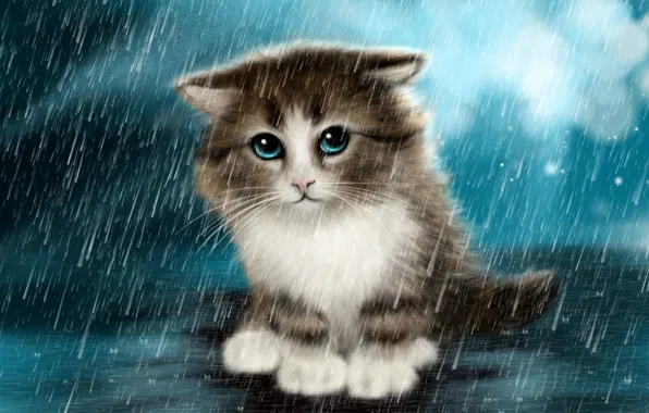 Sadness, kitty, rain