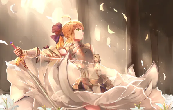 Anime, warrior, manga, bishojo, fate, japonese, Type Moon