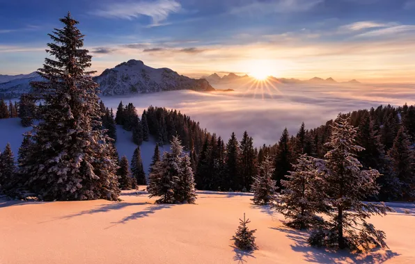 Picture winter, the sun, rays, snow, trees, landscape, mountains, nature