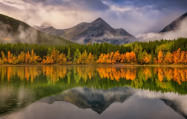 Autumn, forest, mountains, lake, reflection, shore, haze, symmetry