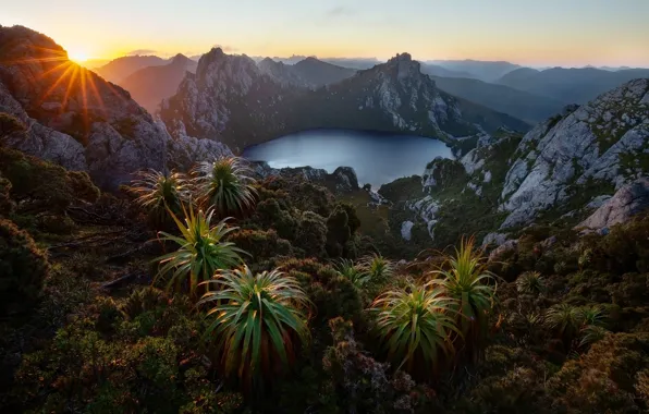 Mountains, lake, vegetation, view, height