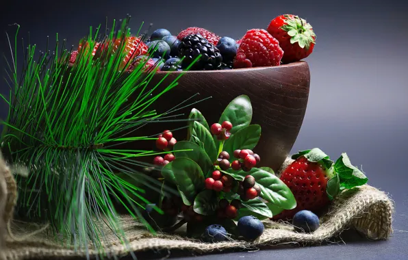 Picture berries, sprig, blueberries, strawberry, fruit, bowl, needles, different