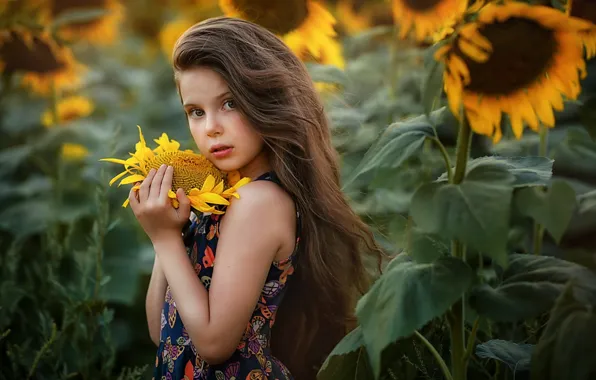 Look, sunflowers, girl, long hair, Irina Ganich