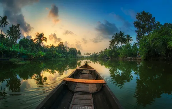 Reflection, river, palm trees, boat, jungle