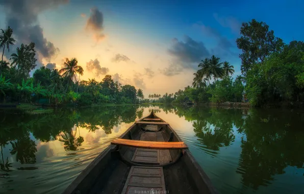 Picture reflection, river, palm trees, boat, jungle