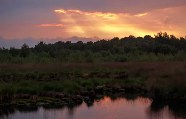 Picture forest, the sky, sunset, nature, pond, forest, Nature, sky