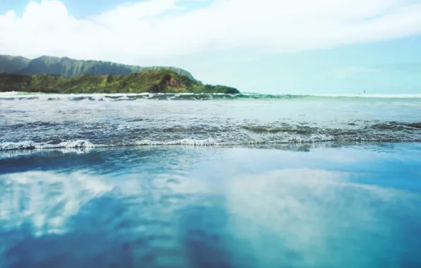 Picture The sky, Water, Clouds, The ocean, Beach, Grass, Wave, Trees