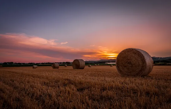 Field, sunset, the evening, hay, bales, bales