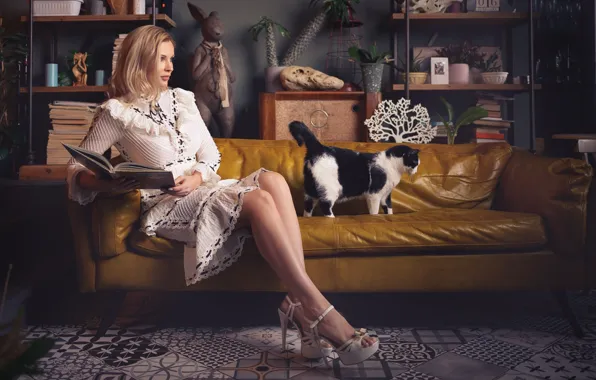 Cat, girl, pose, sofa, dress, book, legs, Sergey Gokk