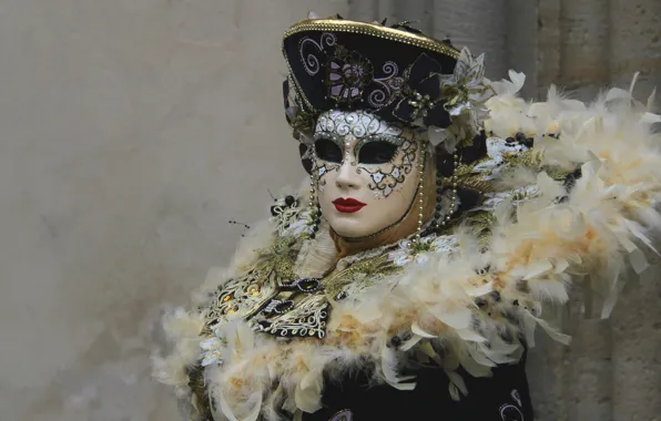 Picture feathers, costume, Venice, mask, carnival, collar