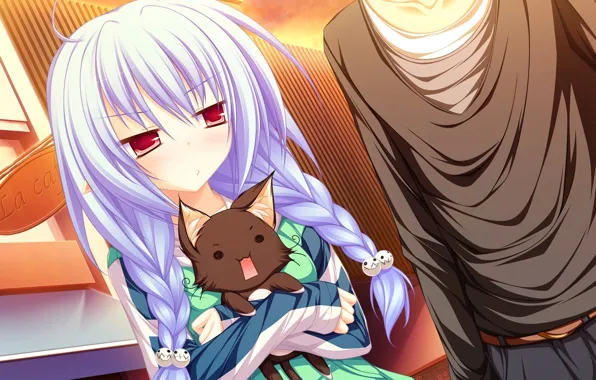 Picture anime, art, pair, two, neko, lunaris filia