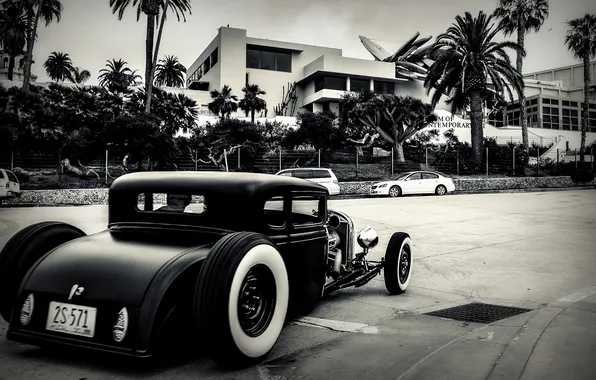 City, white, black, Hot Rod