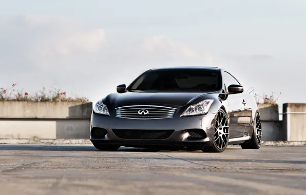 The sky, flowers, Infiniti