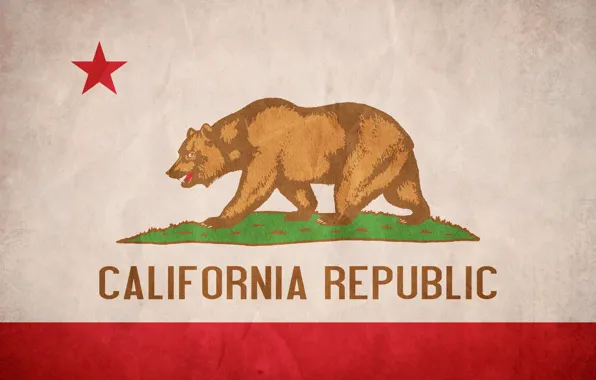 Picture texture, flag, CA, California, Flag
