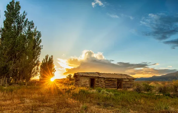 Picture field, the sky, the sun, clouds, rays, light, trees, hut