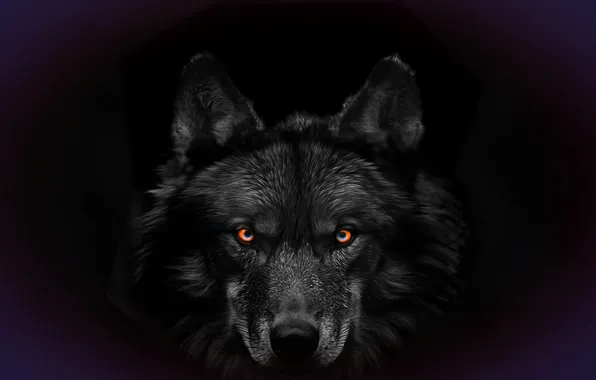 Background, fantasy, wolf