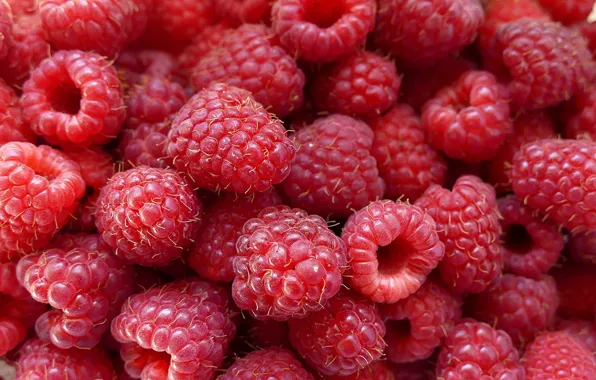 Macro, berries, raspberry, texture, a lot