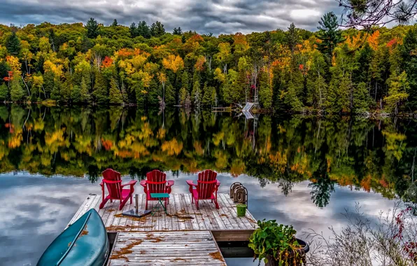 Picture forest, the sky, water, lake, stay, chairs