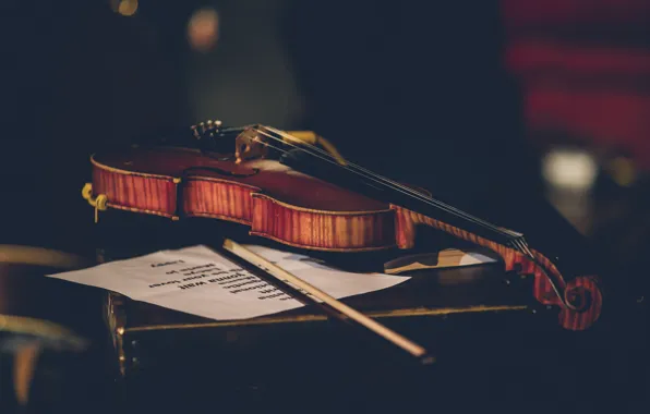 Music, violin, musical instrument