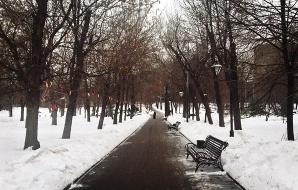 Road, snow, Winter, Trees, Bench, Square