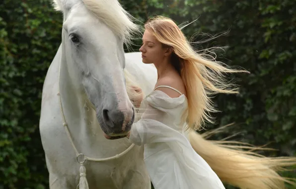 Girl, horse, the wind, hair, horse, dress, blonde, mane