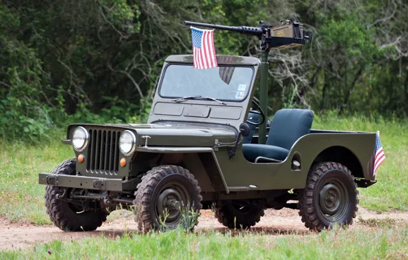 Picture grass, trees, background, flag, green, the front, machine gun, 1950