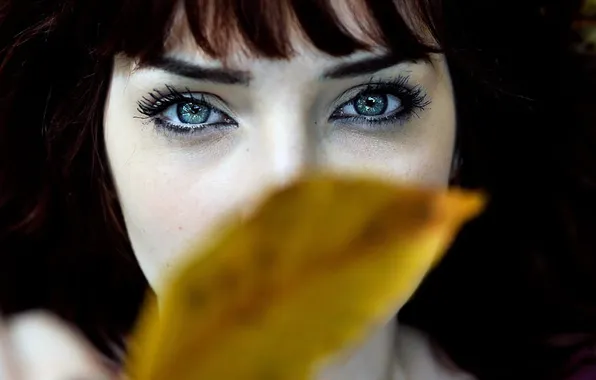 Eyes, look, girl, photo, leaf, Susan Coffey, Susan Coffey