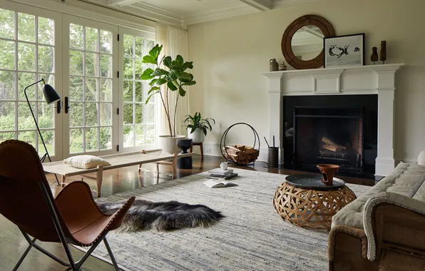 Design, style, room, Villa, interior, plants, chair, fireplace