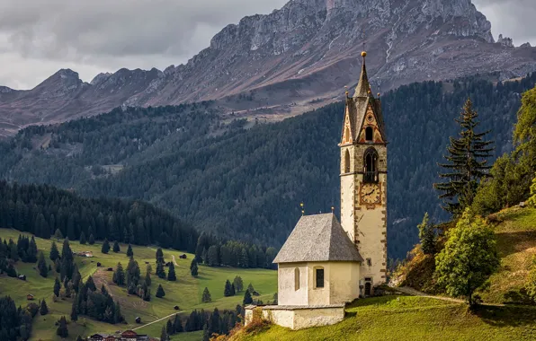 Field, forest, clouds, trees, mountains, rocks, meadow, house