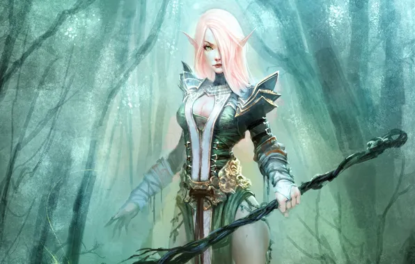 Forest, girl, elf, elf