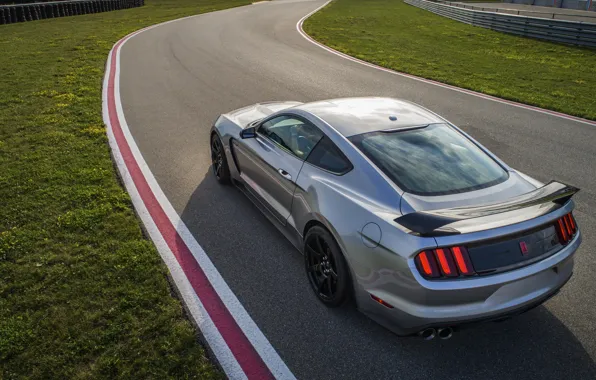 Picture grey, lawn, Mustang, Ford, Shelby, GT350R, 2020