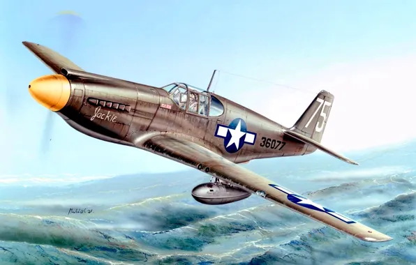 Mustang, P-51, WWII, Multi-role fighter, P-51A, External fuel tank, 4x12.7-mm machine gun
