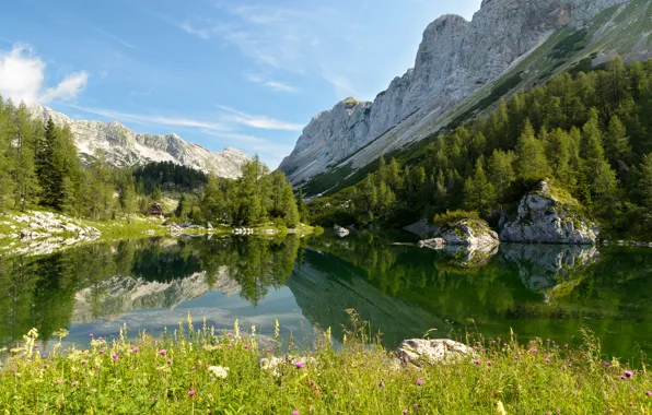 Slovenia, Triglav National Park, Bohinj, Triglav national Park, The Republic Of Slovenia, Lake Bohinj