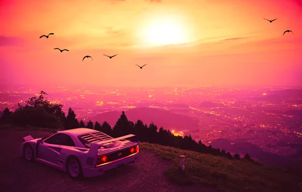 Sunset, The sun, Auto, Music, Machine, Birds, Style, Background