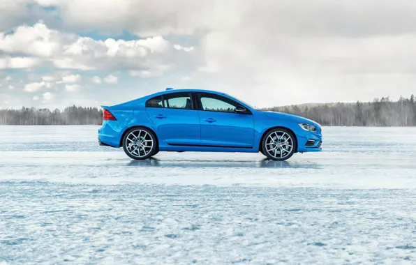 Trees, blue, ice, profile, sedan, s60, volvo, Volvo